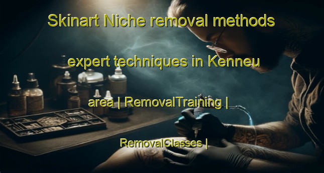 Skinart Niche removal methods expert techniques in Kenneu area | RemovalTraining | RemovalClasses | SkinartTraining-Côte d Ivoire